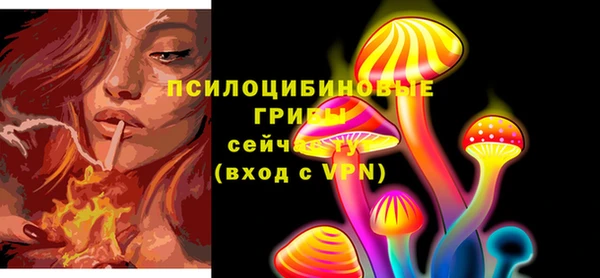 крисы Балахна