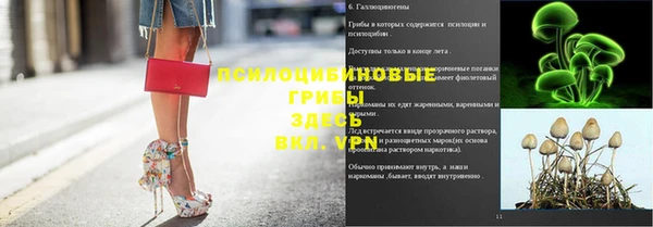 наркотики Белокуриха